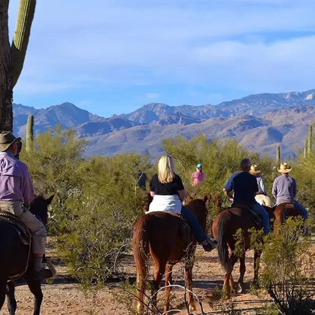 Horseback Trail Rides Near Solana Spanish Villas Tucson