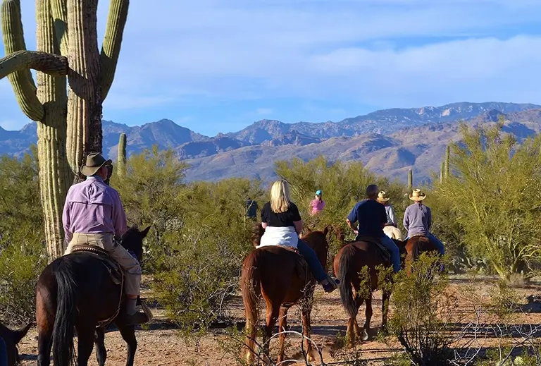 Horseback Trail Rides Near Solana Spanish Villas Tucson