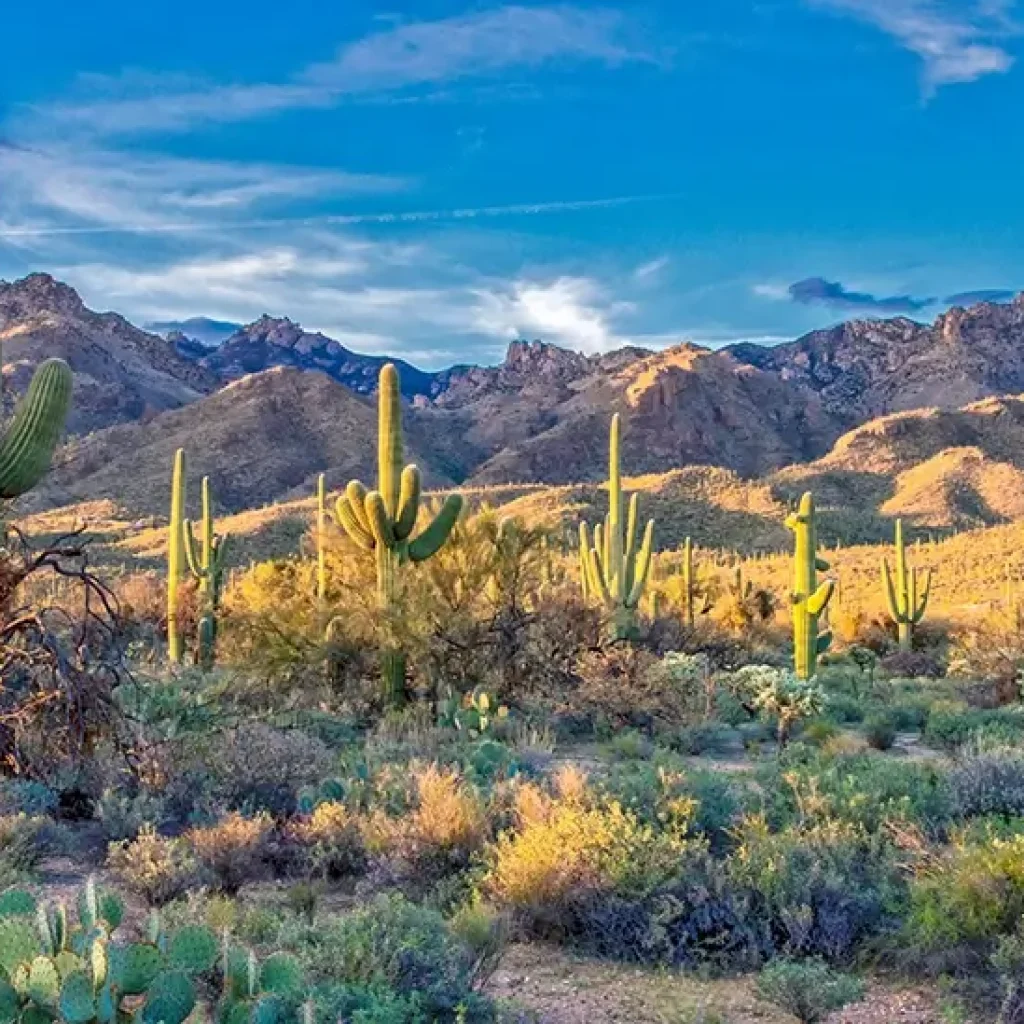 Sabino Canyon Tucson Day Trip from Solana Spanish Villas Vacation Rentals