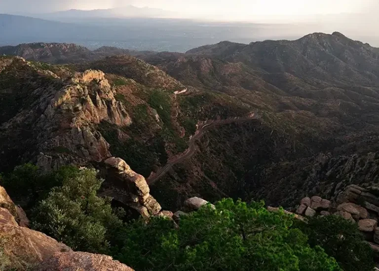 Mount Lemmon Outdoor Adventures Scenic Byway Self-Guided Driving Audio Tour