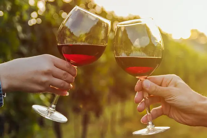 Sonoita, Arizona Wine Tasting Experience in Vineyards of the Desert_ Solana Spanish Villas