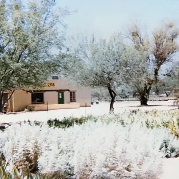 Welcome Solana Spanish Villas History Phil Yard's Iris Farm Villa