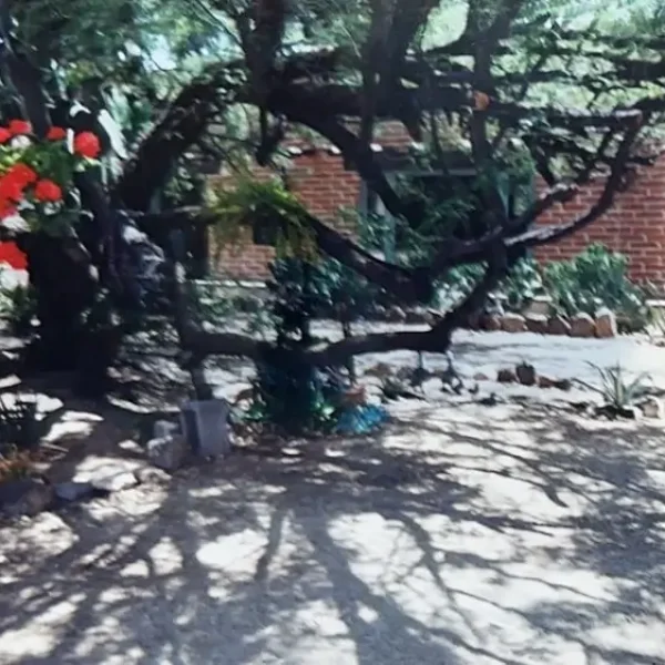 Welcome Solana Spanish Villas History Phil Yard's Iris Farm Villa Exterior