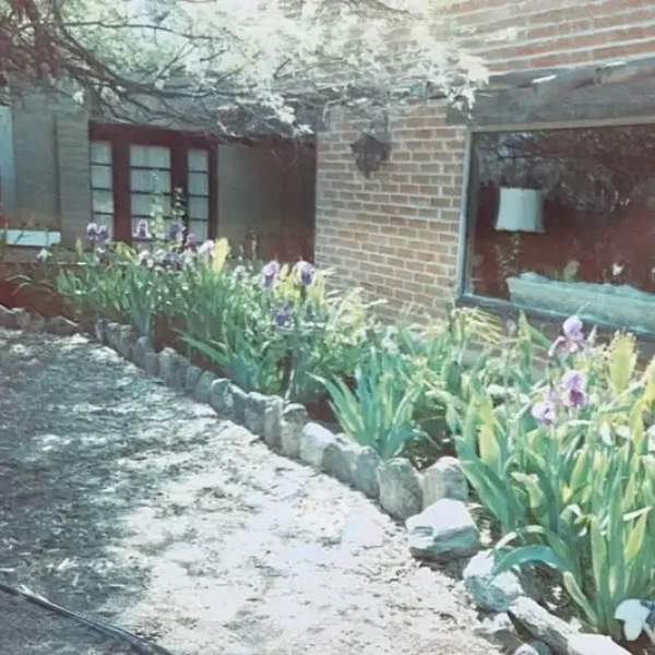 Welcome Solana Spanish Villas History Phil Yard's Iris Farm Villa Flowers