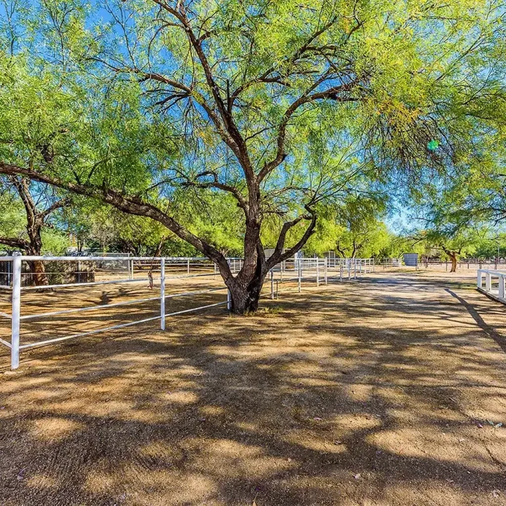 Tanque Verde Solana Ranch Tucson Historic