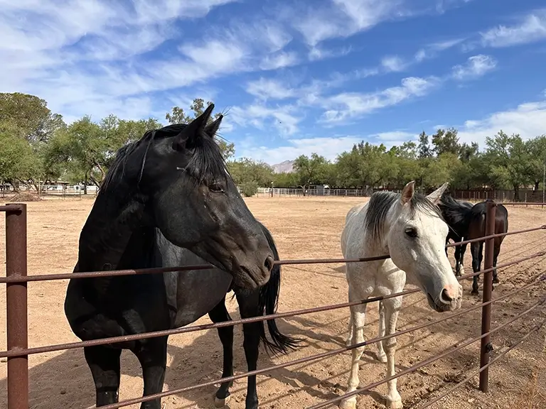 Tucson Guest Ranch Solana Villas