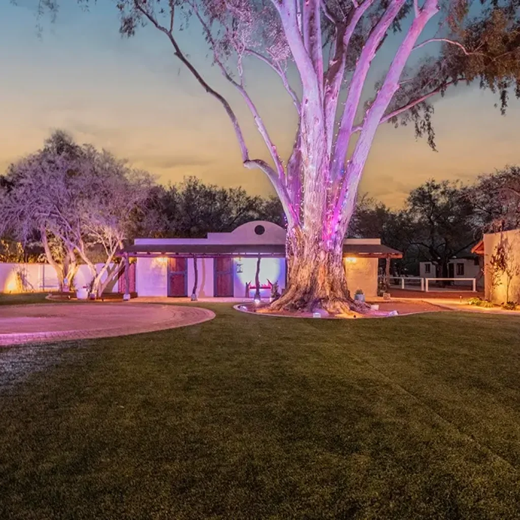 Corporate Holiday Party Tucson