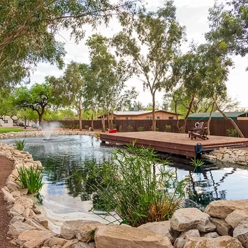 The Pond Wellness Retreats Tucson Solana Guest Ranch